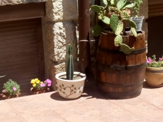 созопол-стаи-под-наем-къща деница-двор-3-sozopolstay.com-2018