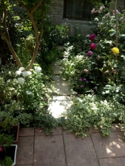 созопол-стаи-под-наем-къща деница-двор-33-sozopolstay.com-2018