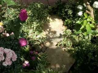 созопол-стаи-под-наем-къща деница-двор-36-sozopolstay.com-2018