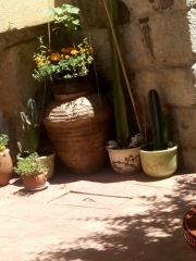 созопол-стаи-под-наем-къща деница-двор-4-sozopolstay.com-2018