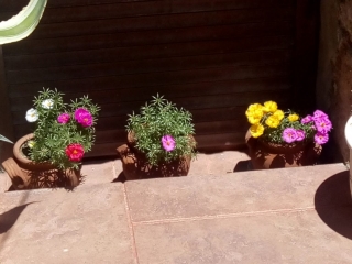 созопол-стаи-под-наем-къща деница-двор-5-sozopolstay.com-2018