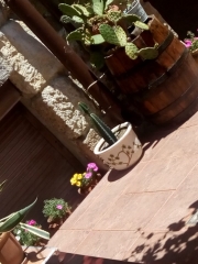 созопол-стаи-под-наем-къща деница-двор-7-sozopolstay.com-2018