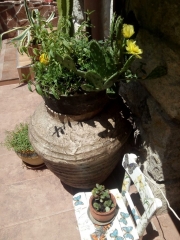 созопол-стар-град-къща-за-гости-деница-двор-градина-1