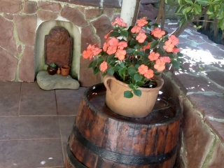 созопол-стар-град-къща-за-гости-деница-двор-градина-2021-4